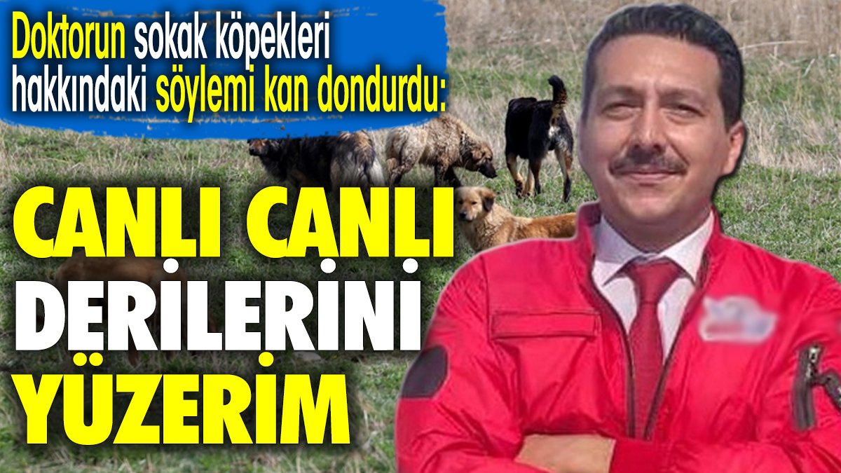 Doktorun sokak köpekleri hakkında söylemi kan dondurdu: Canlı Canlı Derilerini Yüzerim