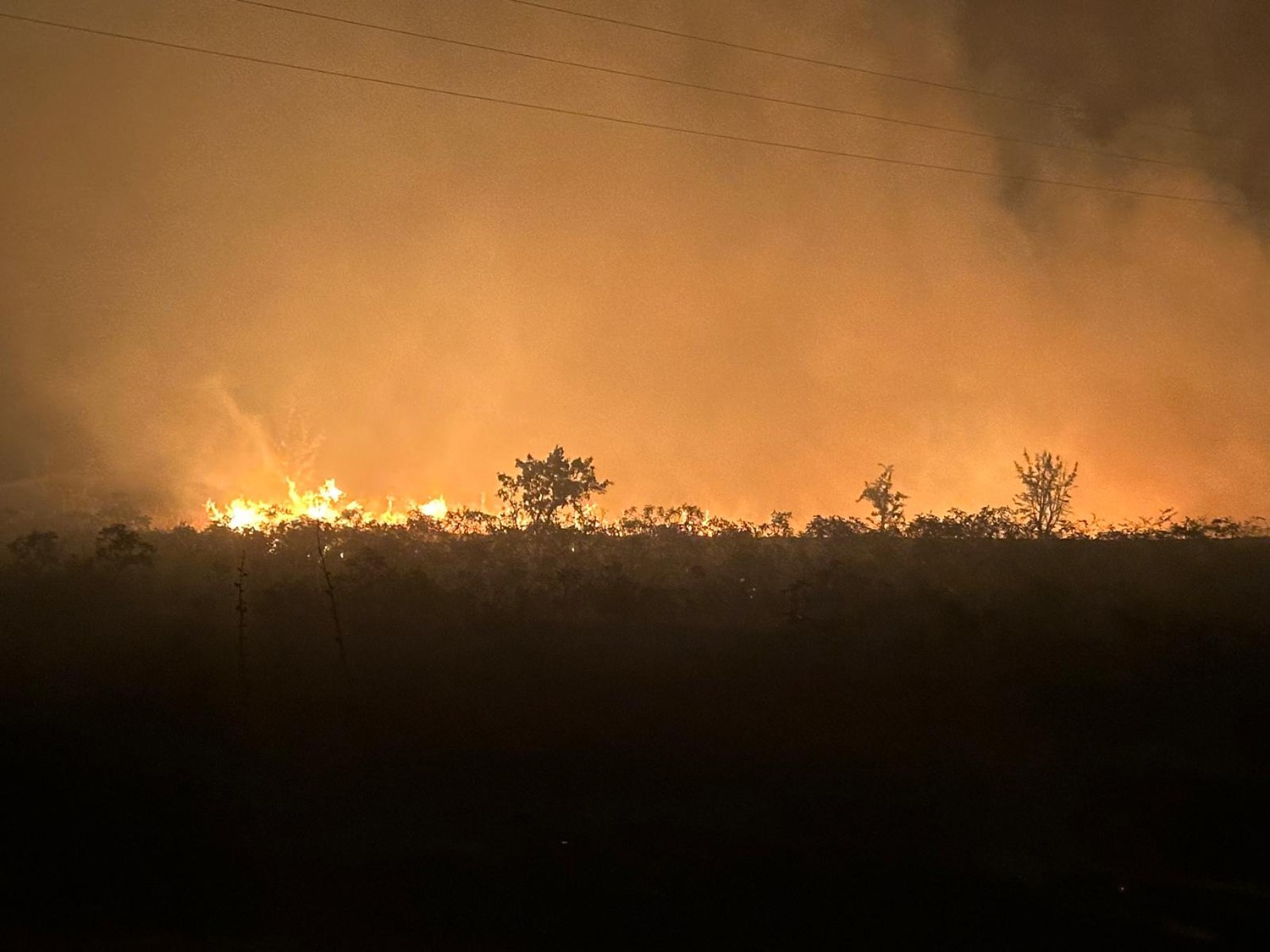 Manisa'da makilik yangını 35 dönüm zarar gördü