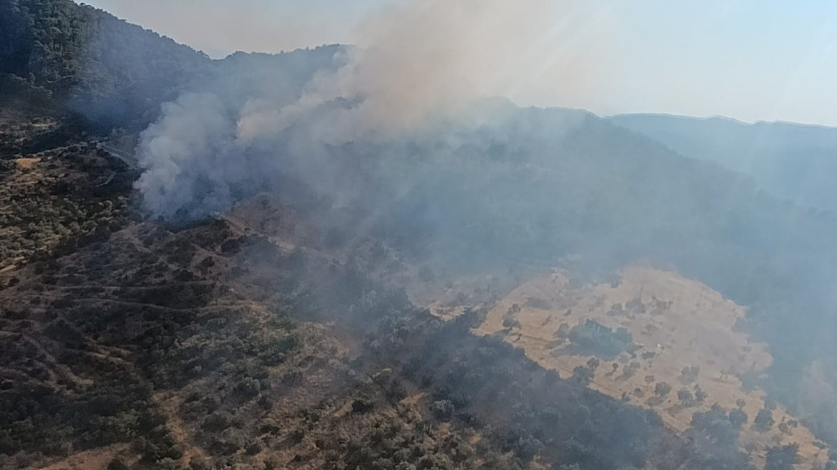 Çanakkale’de orman yangın