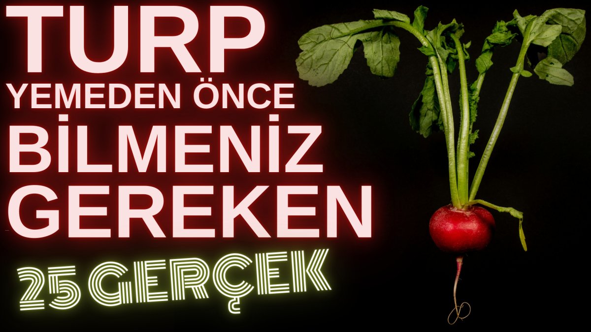 Turp yemeden önce bilmeniz gereken 25 gerçek