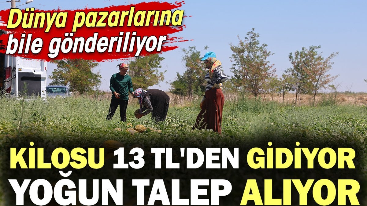 Kilosu 13 TL'den gidiyor yoğun talep alıyor! Dünya pazarlarına bile yollanıyor