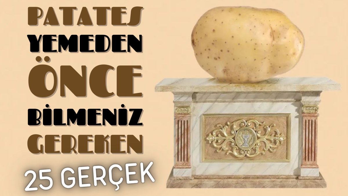 Patates yemeden önce bilmeniz gereken 25 gerçek