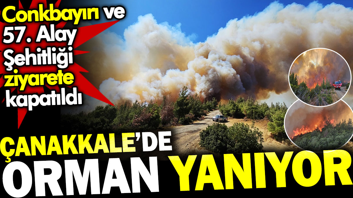 Çanakkale'de orman yanıyor. Conkbayırı ve 57. Alay Şehitliği ziyarete kapatıldı