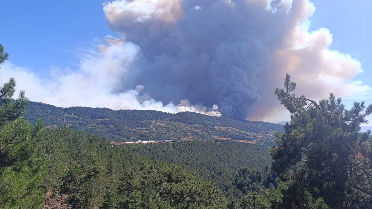 Bolu’da orman yangını