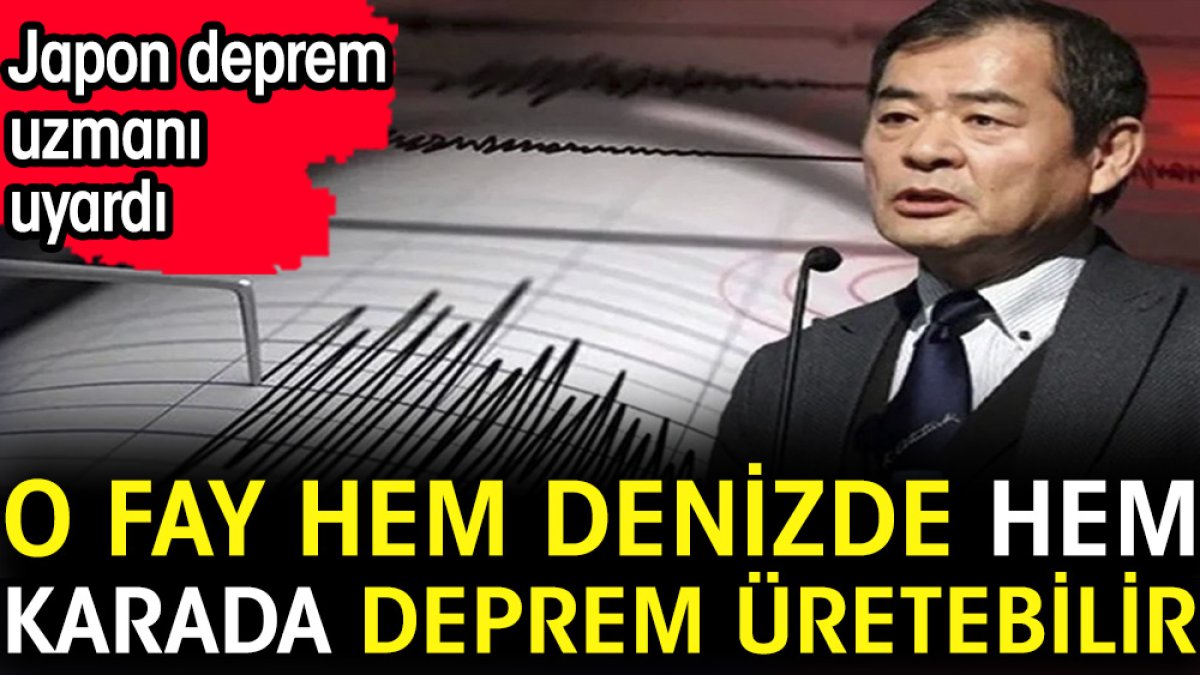 Japon deprem uzmanı uyardı. O fay hem denizde hem karada deprem üretebilir