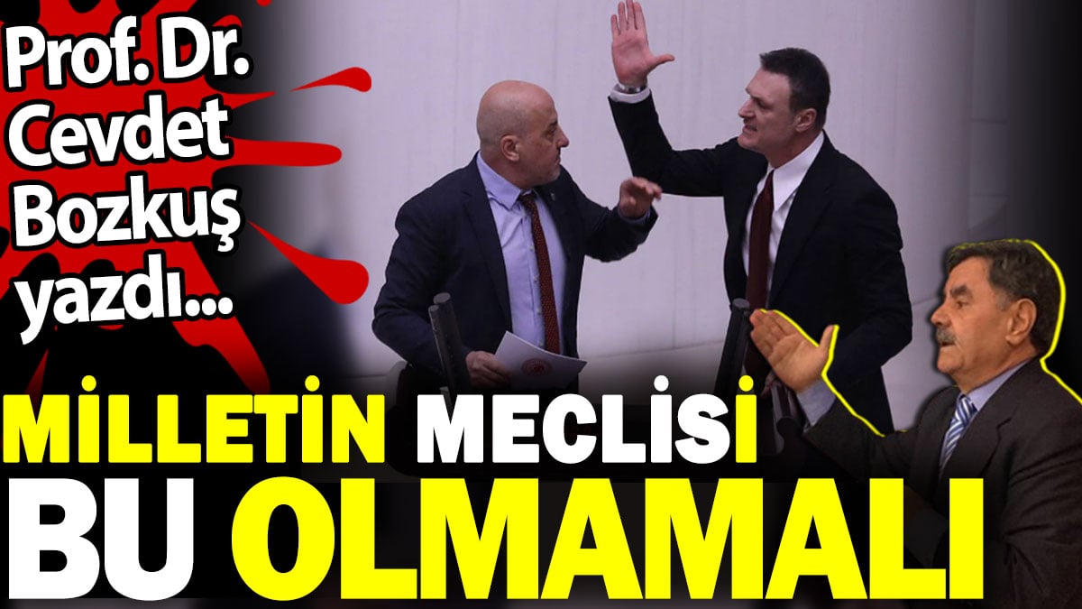 Milletin Meclisi bu olmamalı. Prof. Dr. Cevdet Bozkuş yazdı