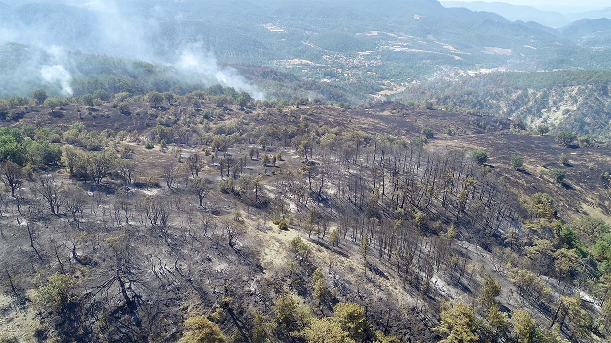 Bolu'da yanan ormanlar havadan görüntülendi