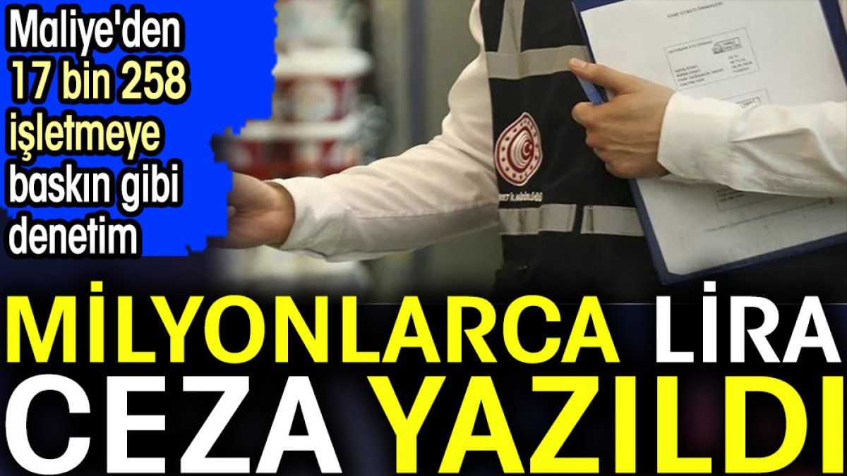 Milyonlarca lira ceza yazıldı. Maliye'den 17 bin 258 işletmeye baskın gibi denetim