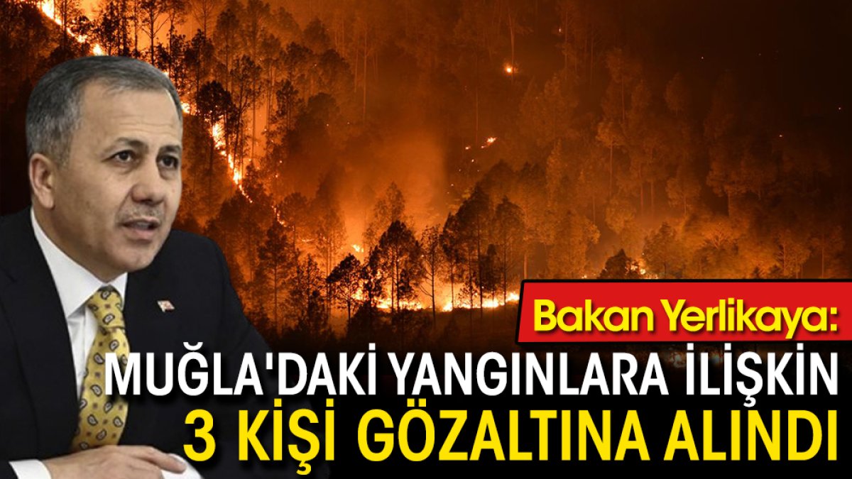 Bakan Yerlikaya: Muğla'daki yangınlara ilişkin 3 kişi gözaltına alındı