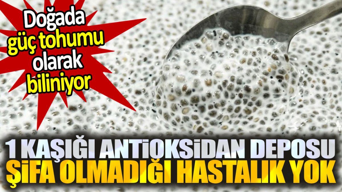 Doğada güç tohumu olarak biliniyor. Şifa olmadığı hastalık yok. 1 kaşığı antioksidan deposu