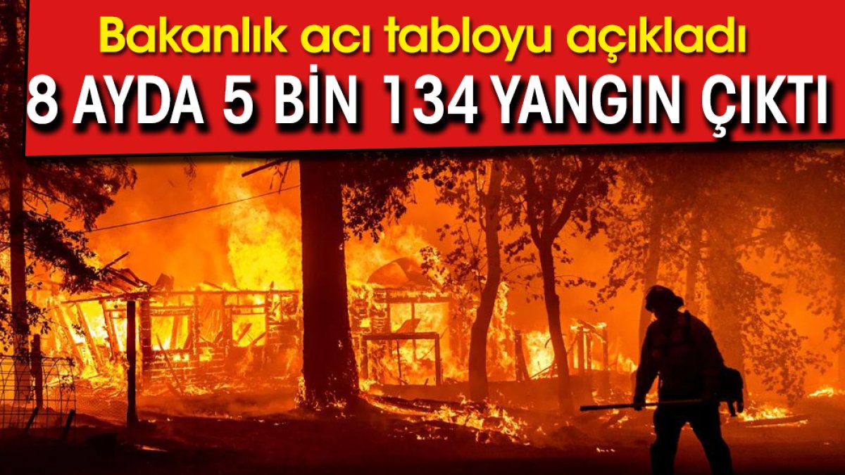 Bakanlık acı tabloyu açıkladı: 8 ayda 5 bin 134 yangın çıktı