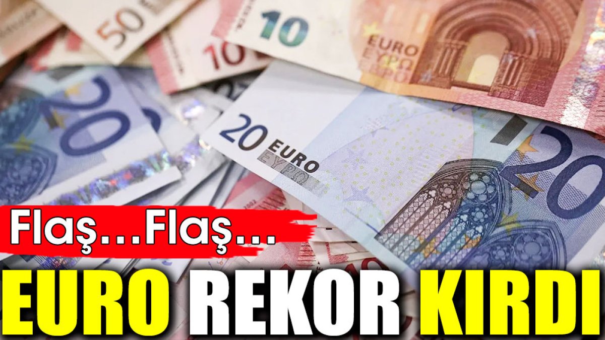 Euro rekor kırdı