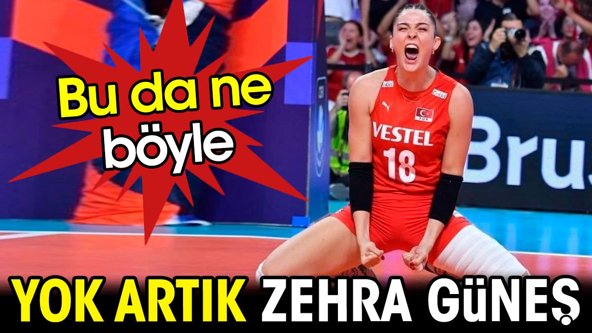 Yok artık Zehra Güneş. Bu da ne böyle