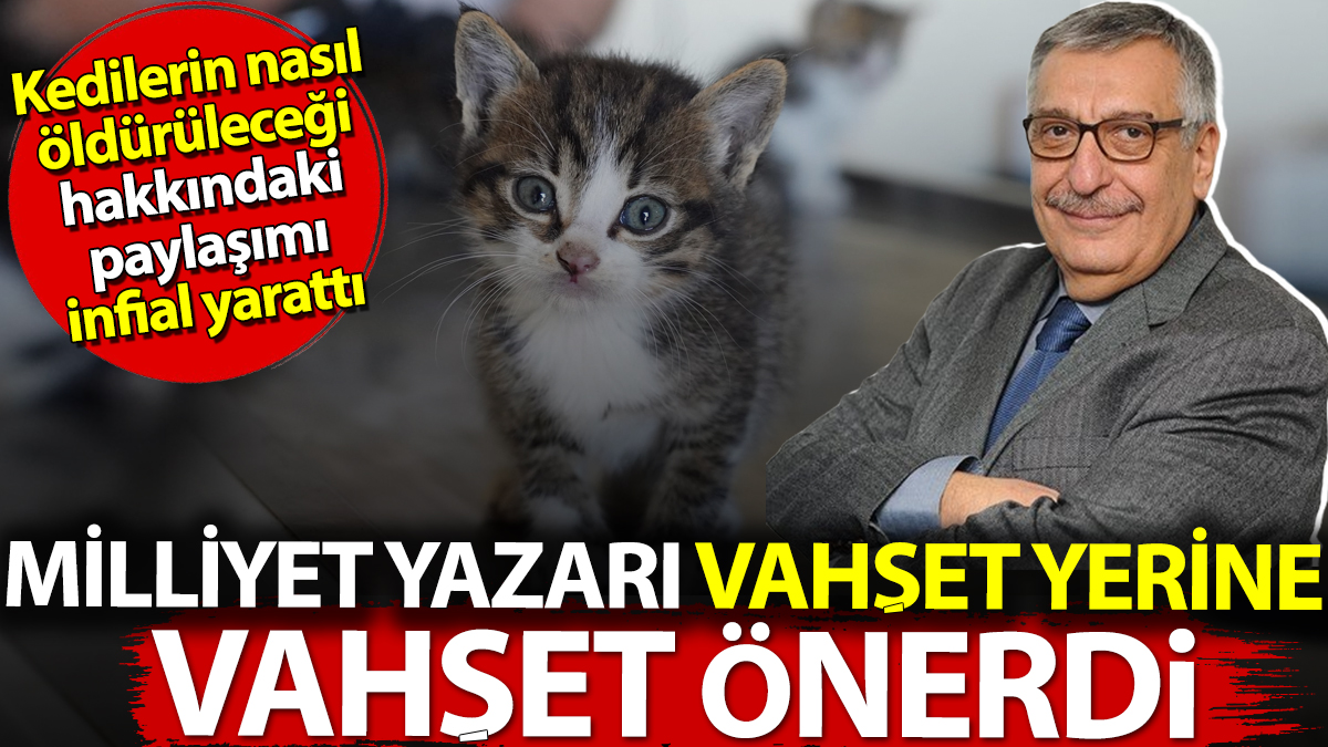 Milliyet yazarının kedilerin nasıl öldürüleceği hakkındaki paylaşımı infial yarattı