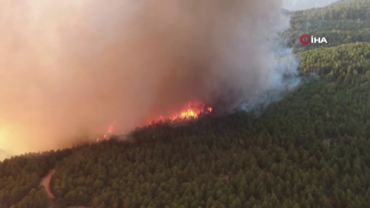 Ilgaz dağındaki dev alevler böyle görüntülendi