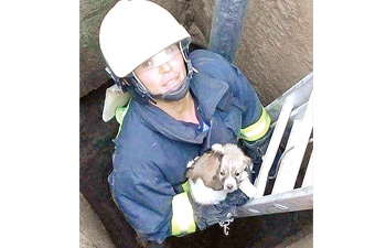 Kuyuya düşen yavru köpekleri itfaiye kurtardı