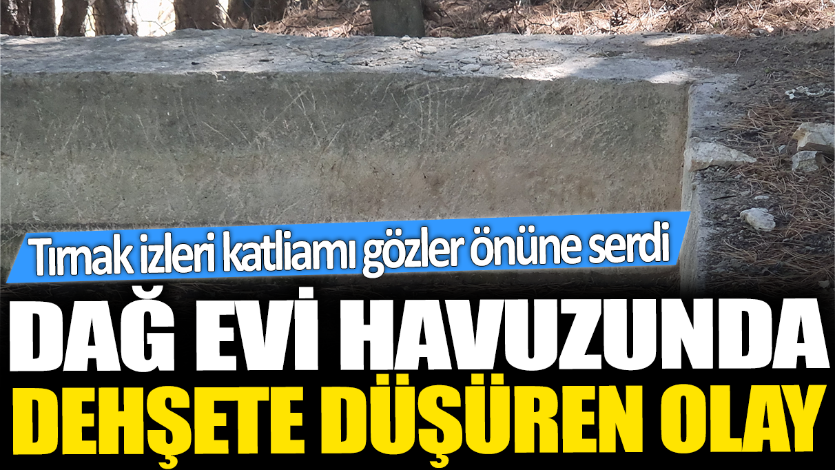 Dağ evi havuzunda dehşete düşüren olay! Tırnak izleri katliamı ortaya çıkardı