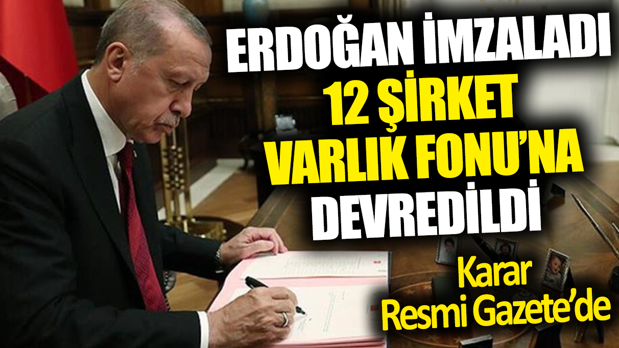 12 şirket için Türkiye Varlık Fonu'na devredildi. Karar Resmi Gazete'de