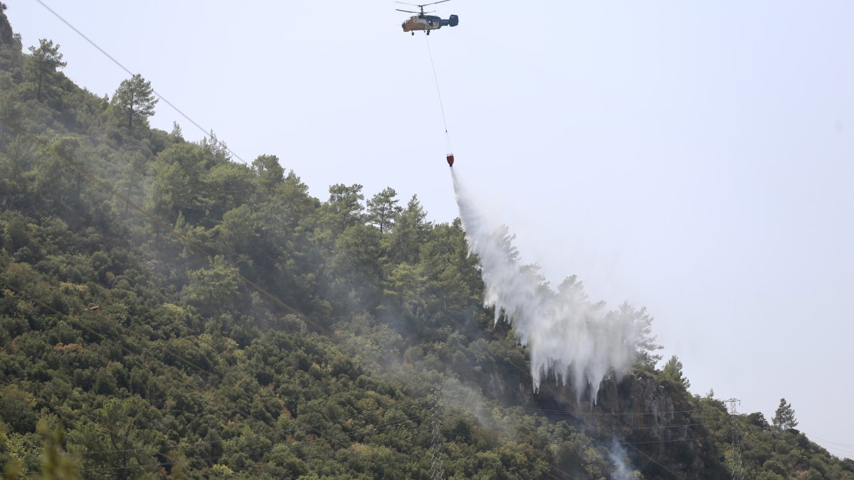 Fethiye'deki orman yangını söndürüldü