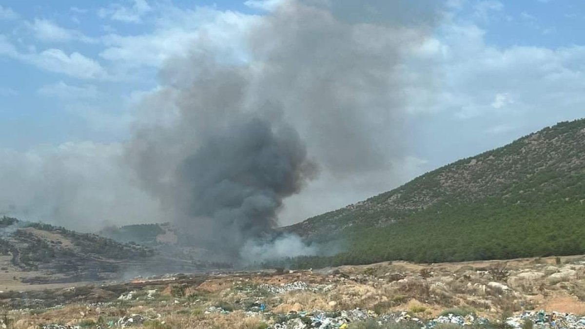 Denizli’de orman yangını