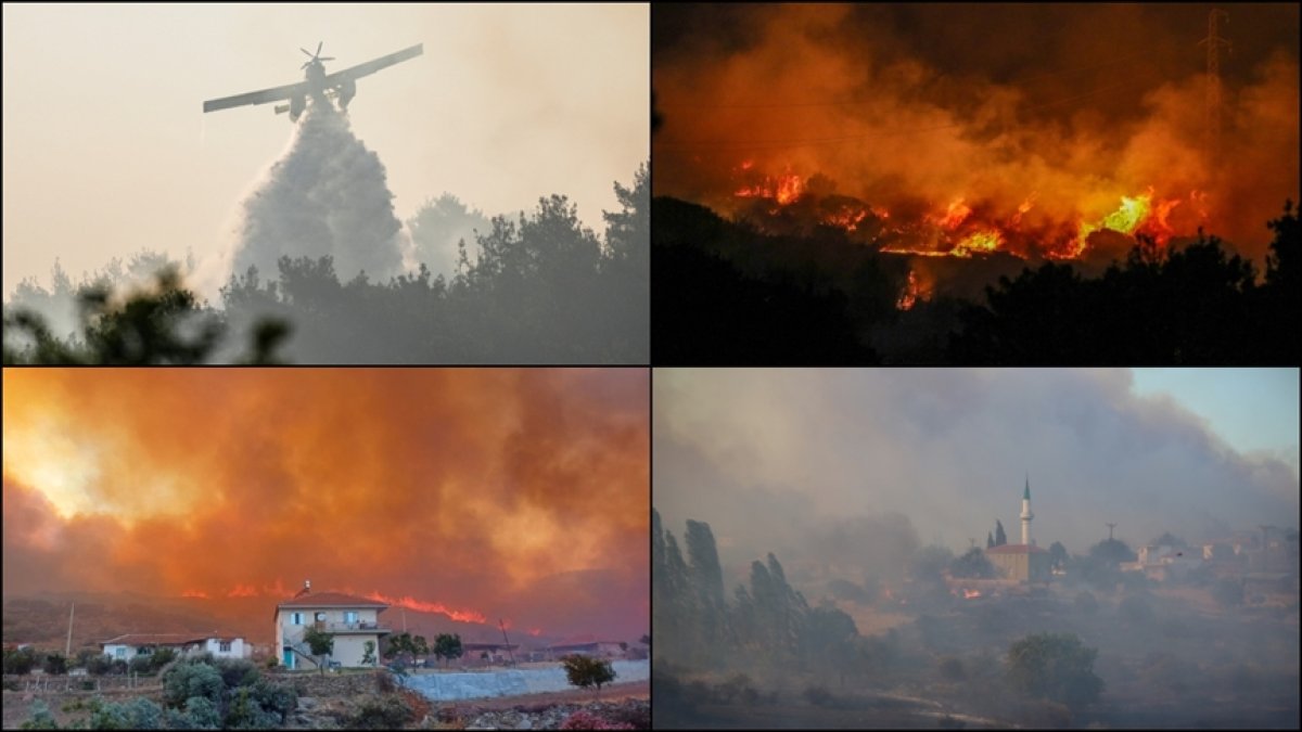 Orman yangınlarından bu yıl en fazla etkilenen 10 il belli oldu