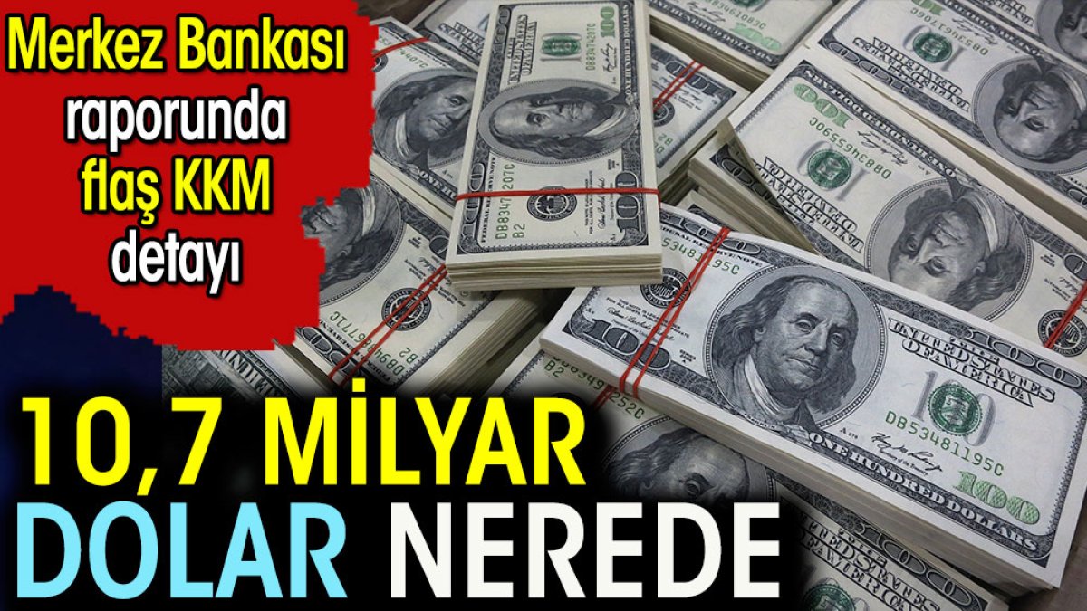 10,7 Milyar dolar nerede. Merkez Bankası raporunda flaş KKM detayı