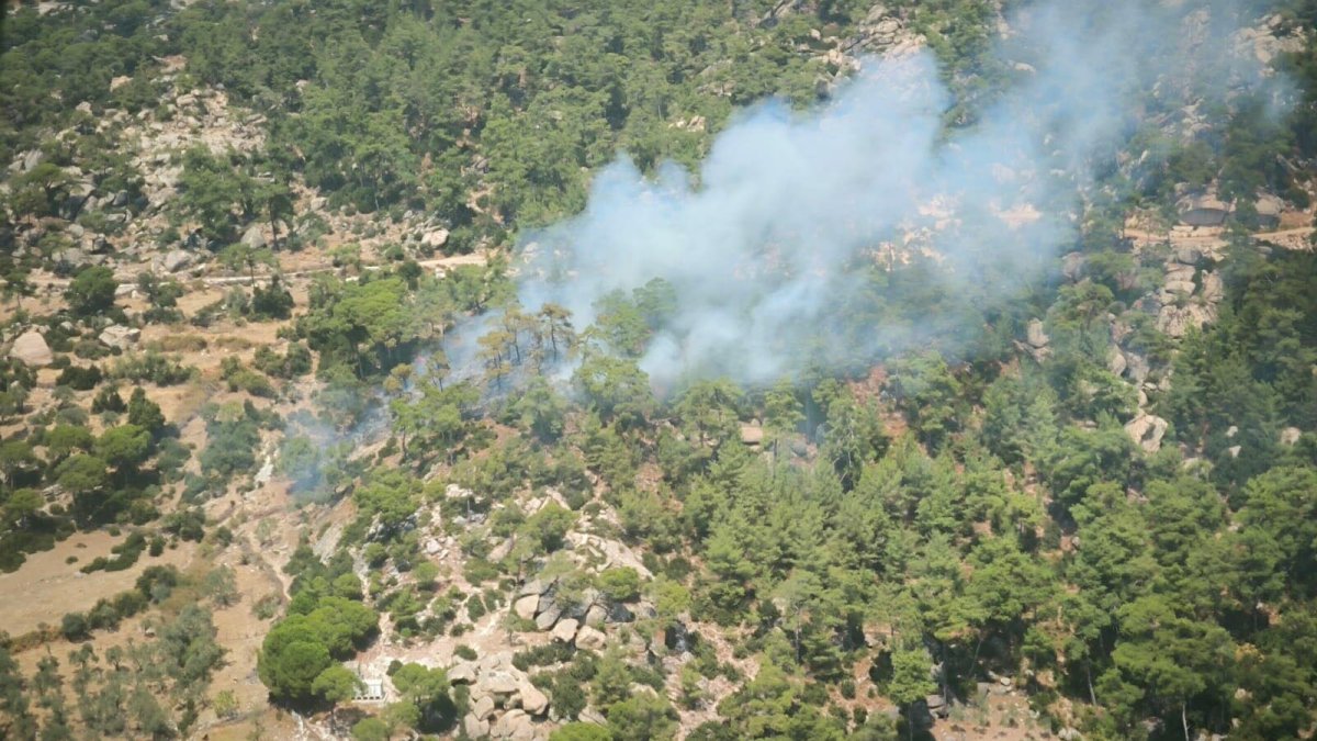 Muğla’da orman yangını