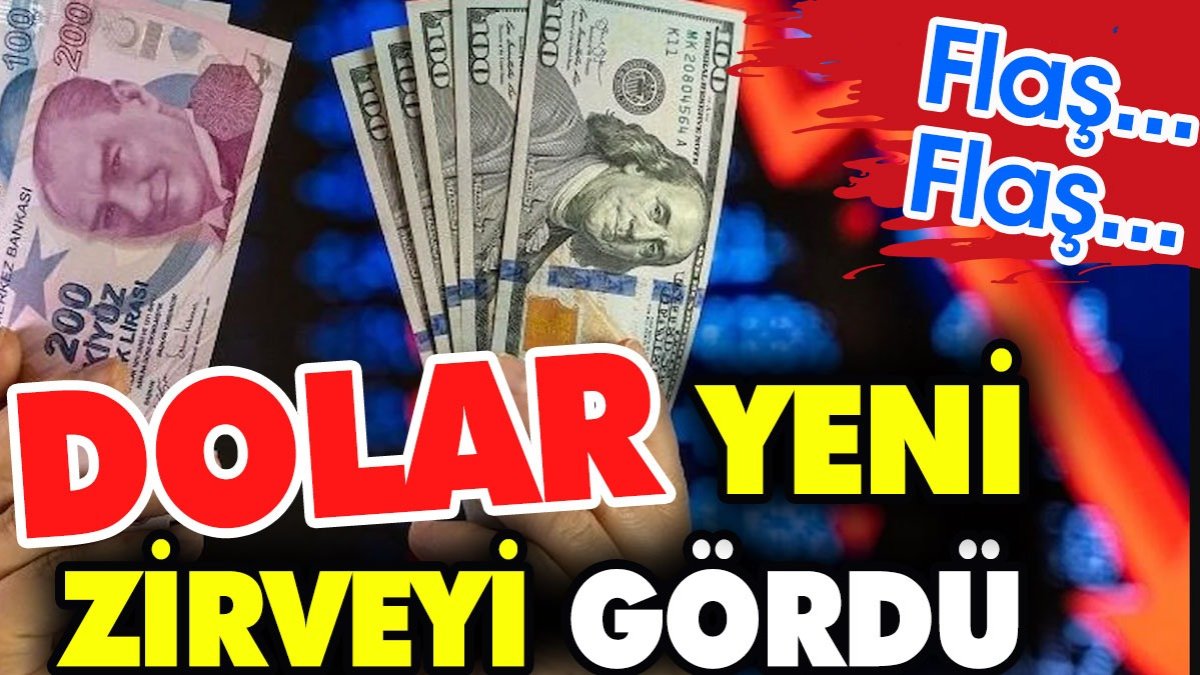 Dolar yeni zirveyi gördü