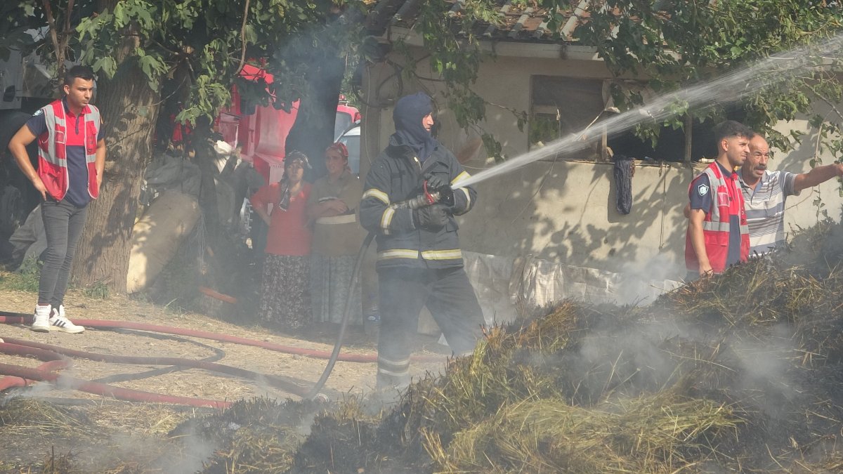 Ordu'da mandırada yangın