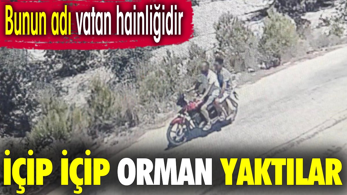 İçki içip orman yaktılar. Bunun adı vatan hainliğidir