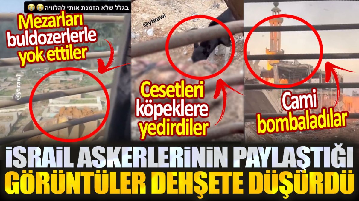 İsrail askerlerinin paylaştığı görüntüler dehşete düşürdü. Mezarlıkları buldozerlerle ezdiler: Cesetleri köpeklere yedirdiler