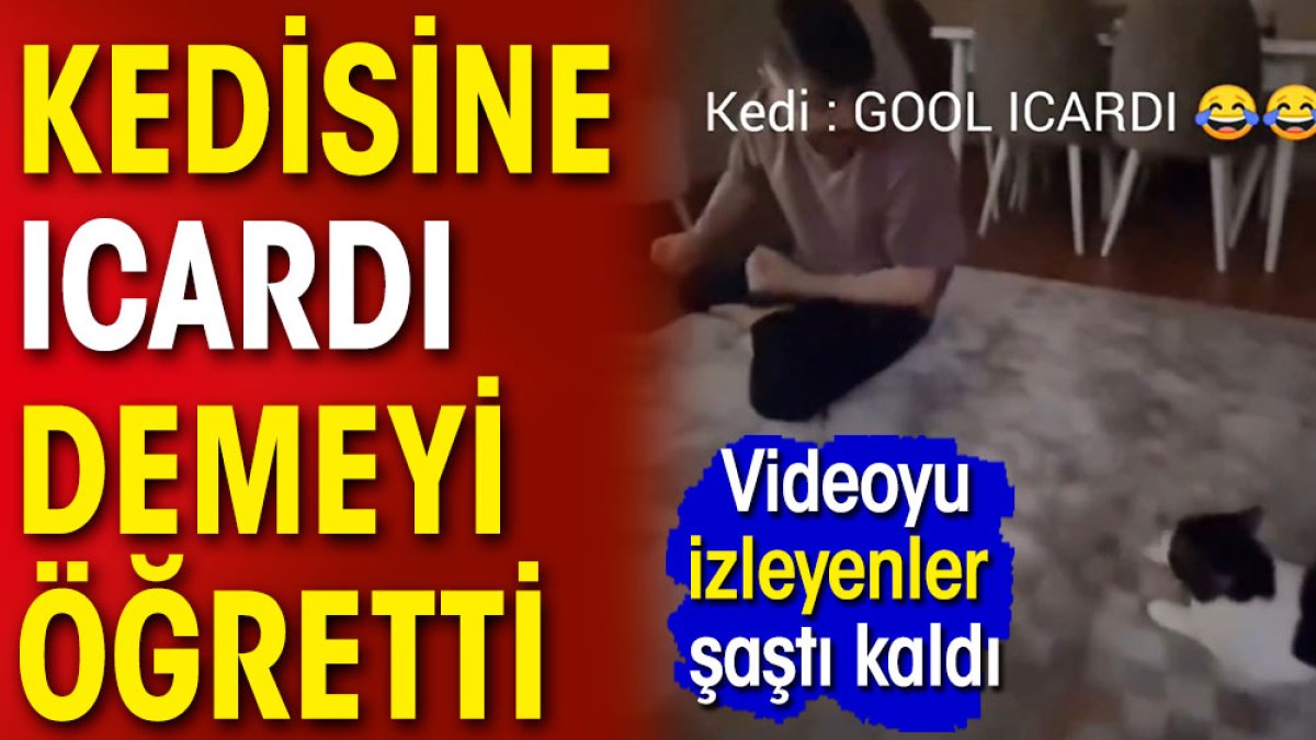 Kedisine Icardi demeyi öğretti. İzleyenler şaştı kaldı