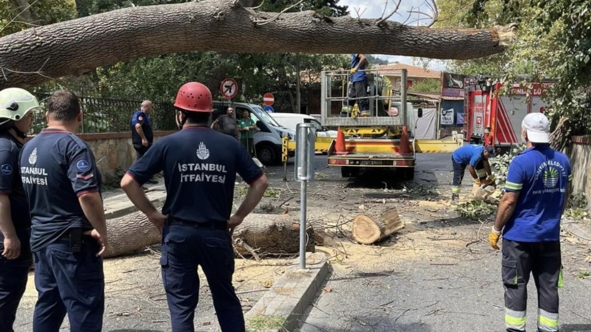 İstanbul Sarıyer’de ağaç yola devrildi