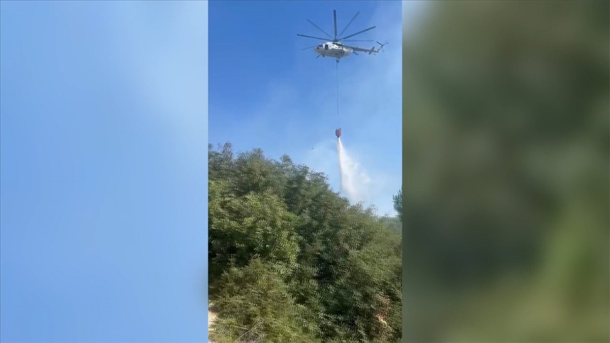 Bergama'da çamlıkta çıkan yangın kontrol altına alındı