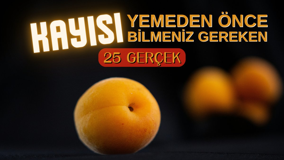 Kayısı yemeden önce bilmeniz gereken 25 gerçek