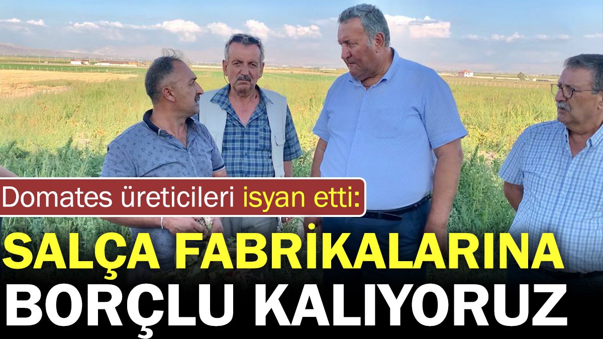 Domates üreticileri isyan etti: Salça fabrikalarına borçlu kalıyoruz