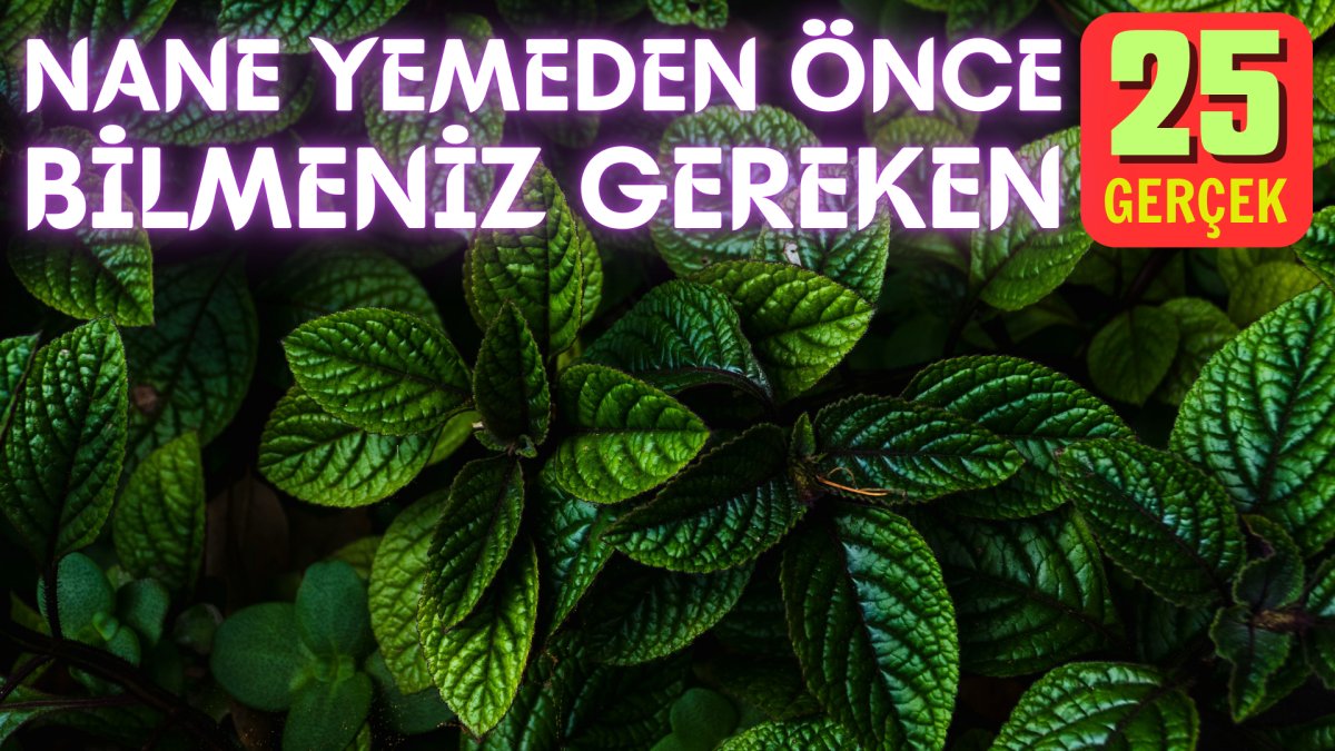 Nane yemeden önce bilmeniz gereken 25 gerçek