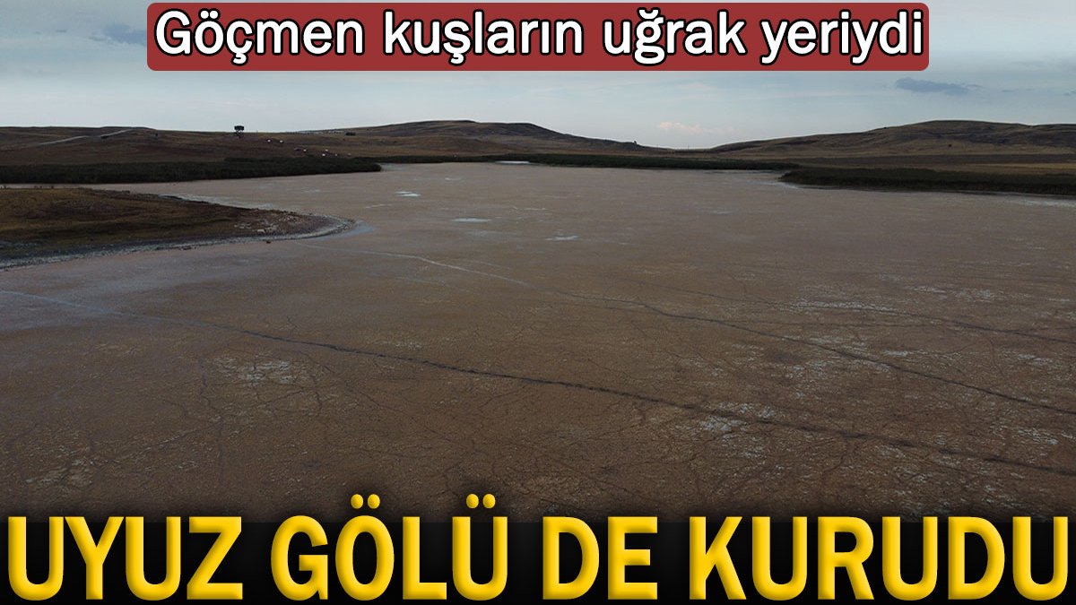 Konya'daki Uyuz Gölü kurudu! Göçmen kuşların uğrak yeriydi