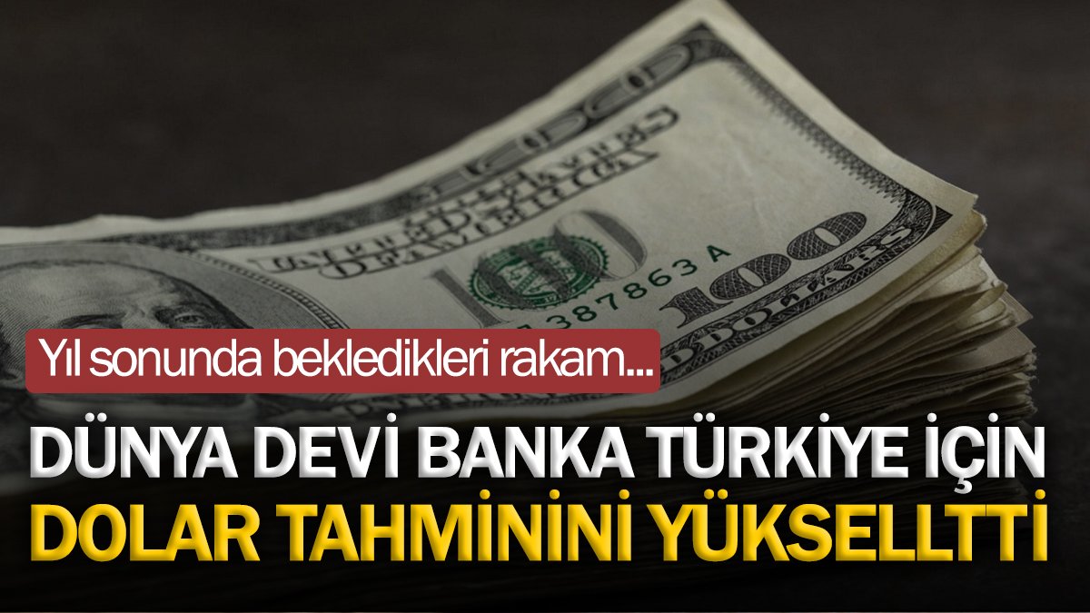 Dünya devi banka Türkiye için dolar tahminini yükseltti