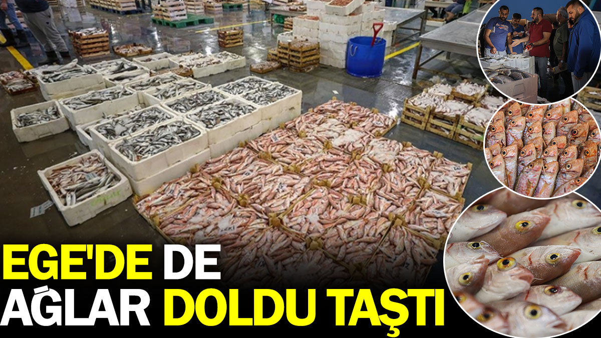 Ege'de de ağlar doldu taştı