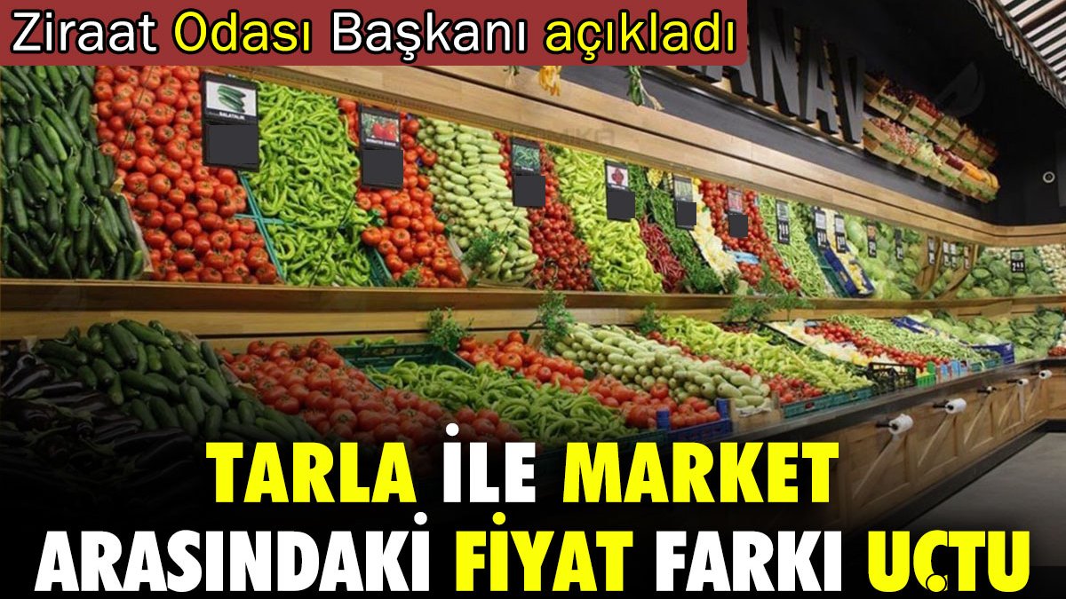 Tarla ile market arasındaki fiyat farkı uçtu. Ziraat Odası Başkanı açıkladı