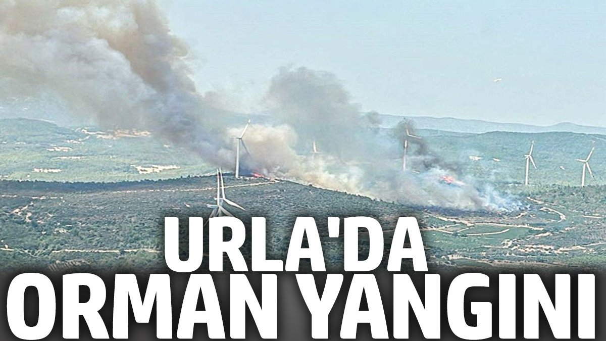 Urla'da orman yangını! Havadan ve karadan yoğun müdahale sürüyor