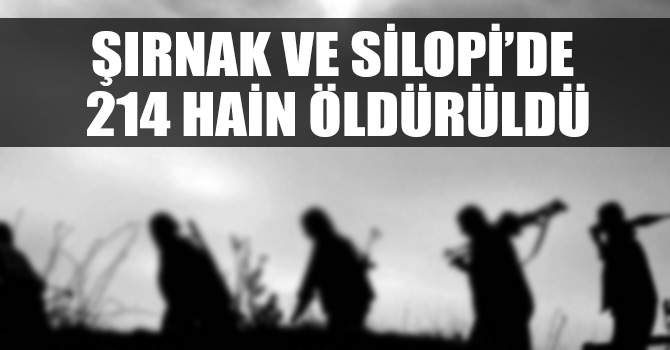 Şırnak’ta 214 PKK’lı öldürüldü