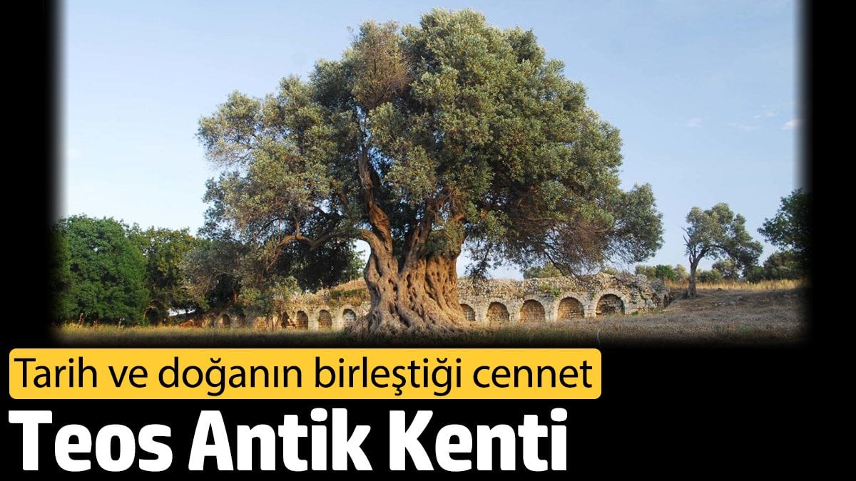 Teos Antik Kenti: Tarih ve doğanın birleştiği cennet