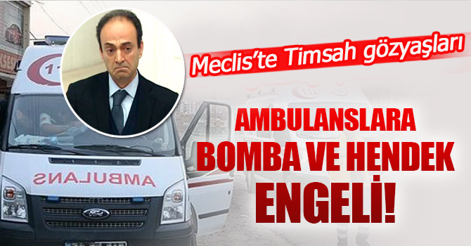 Baydemir'in iddiasının iç yüzü ortaya çıktı!