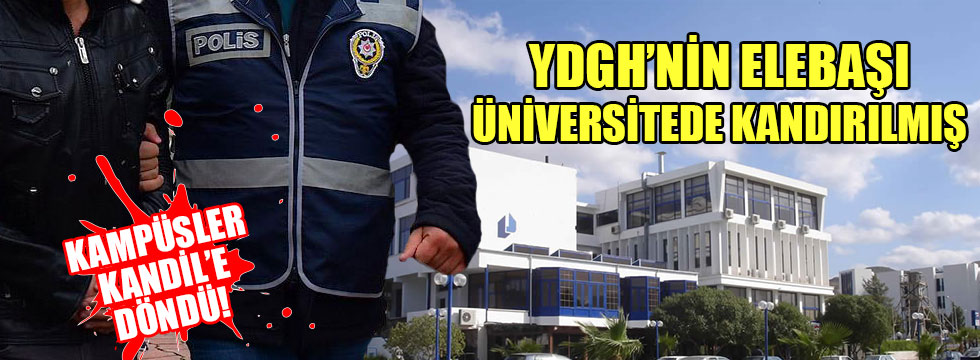 YDGH'nin başı üniversiteli çıktı!