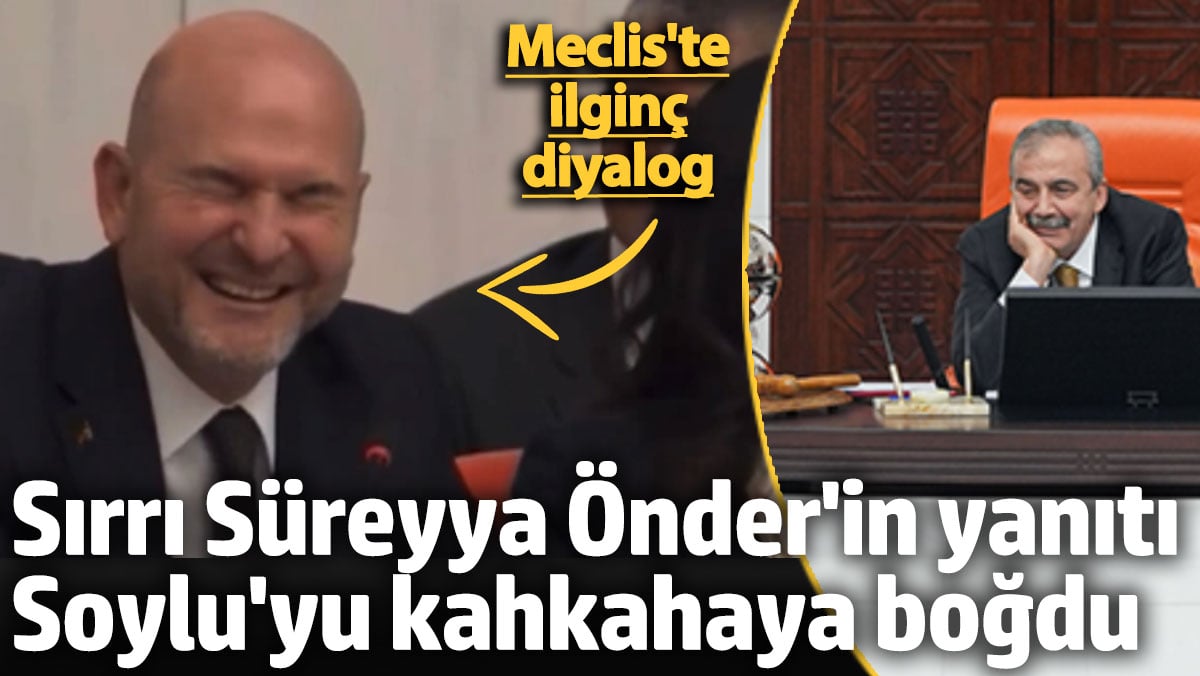 Meclis'te ilginç diyalog! Sırrı Süreyya Önder'in yanıtı Soylu'yu kahkahaya boğdu