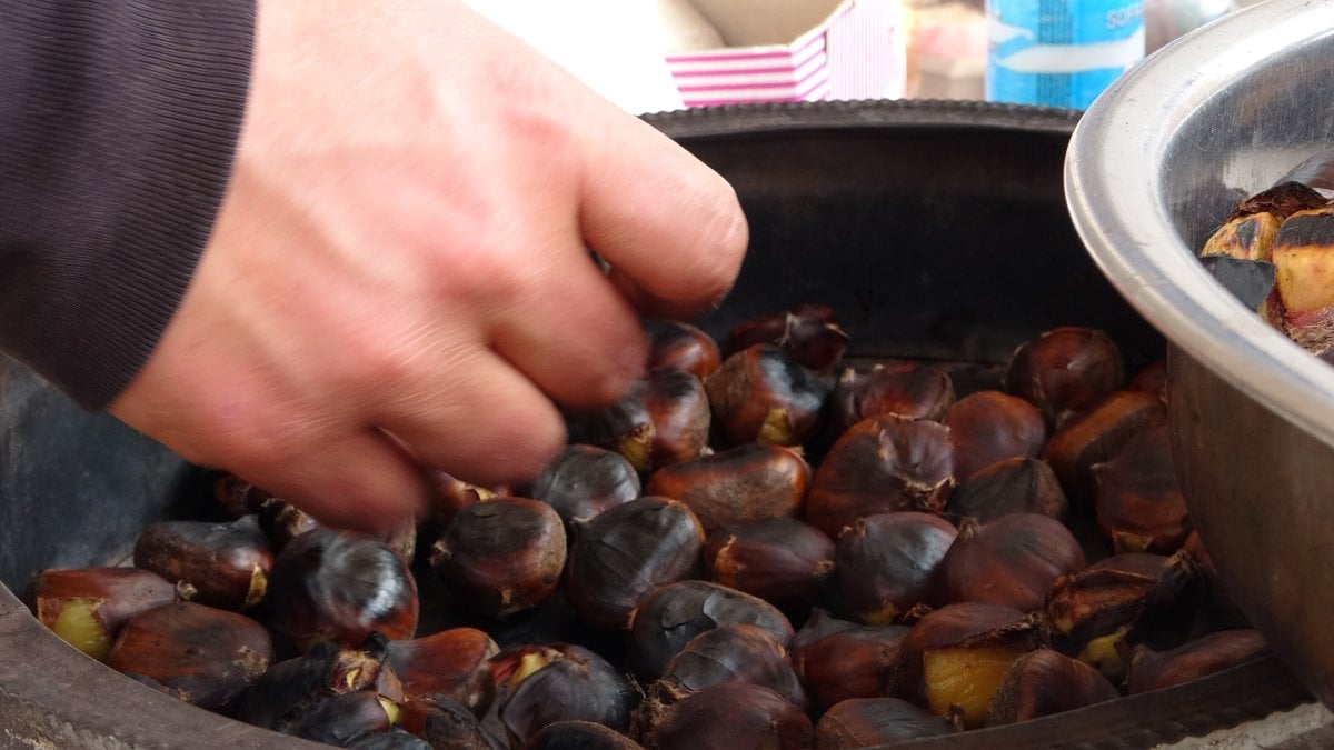 Kestane yemek artık hayal oldu