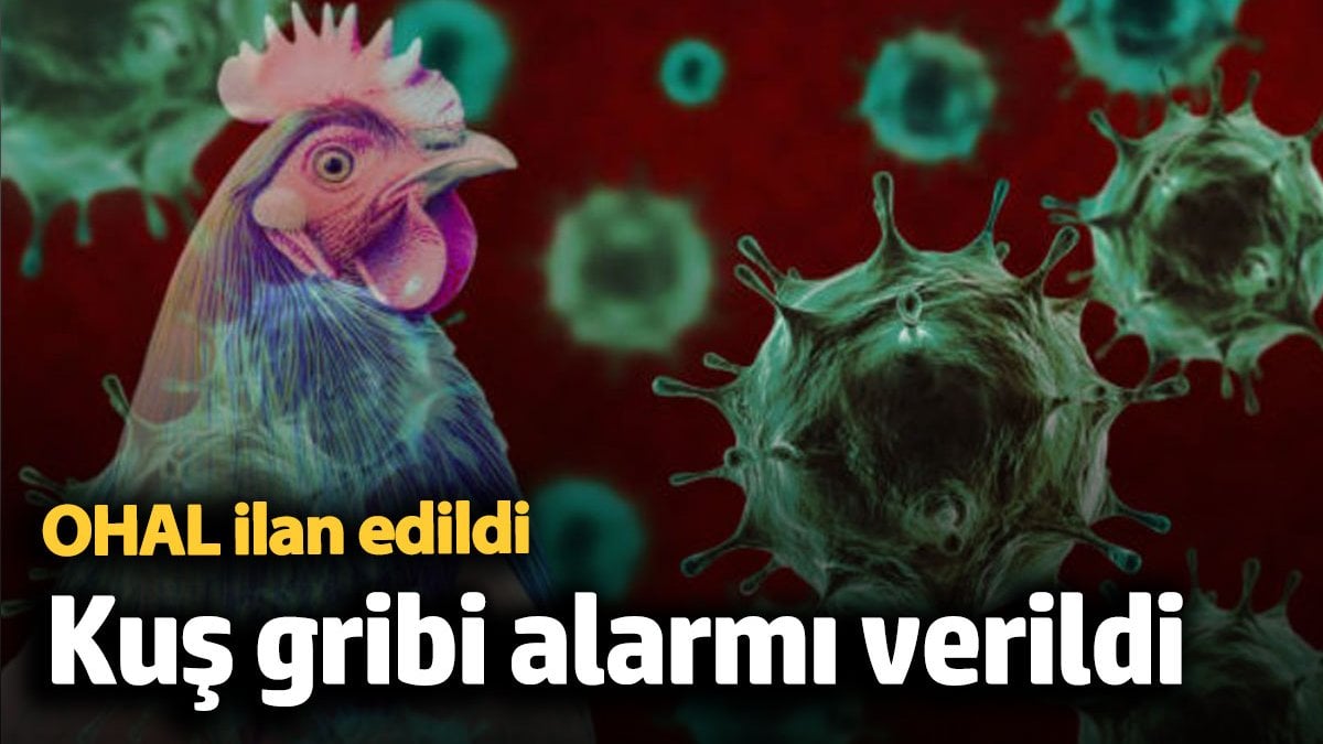 ABD'de kuş gribi alarma geçti! OHAL ilan edildi