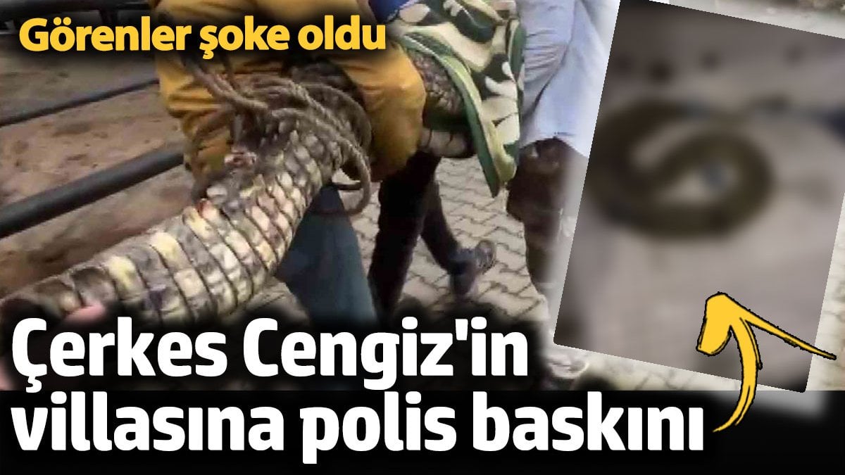 Beykoz’da Çerkes Cengiz'in villasına polis baskın yaptı, çıkanlar şoke etti